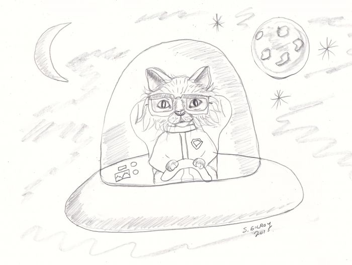 Space Kitty by Sally Gilroy
